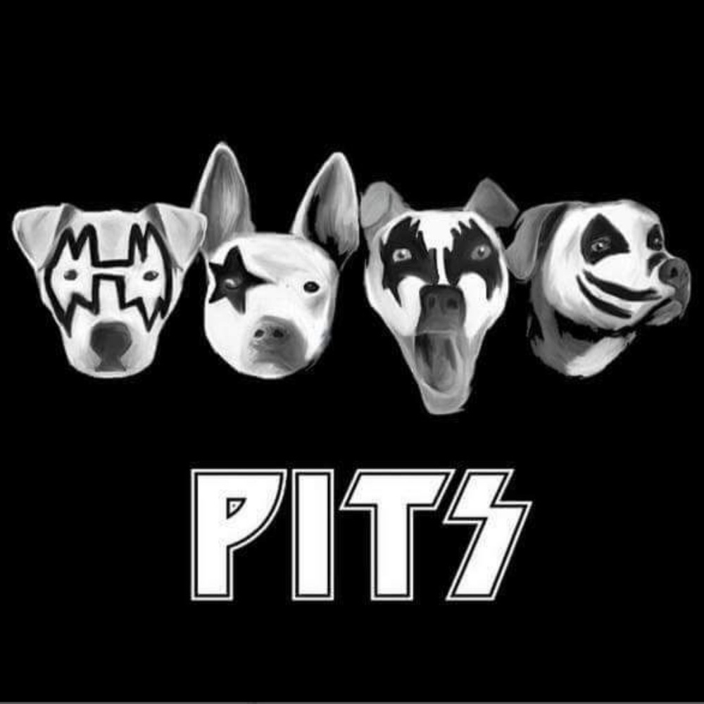 Meet your Posher, Evelyn